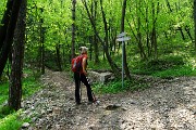 Monte Zucco (Direttissima / Sentiero Panoramico) da San Pellegrino Terme il 22 aprile 2016  - FOTOGALLERY